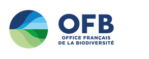 OFB.png