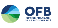 OFB-.png