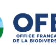 OFB.png