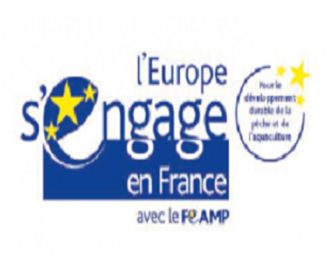 Feamp logo.png