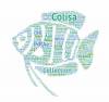 Logo-colisa